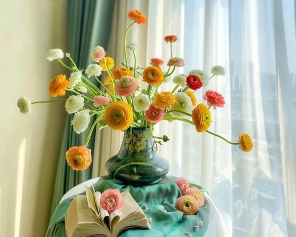 cay-kieng-la-8_ae3d715122904306a961fb844e1d455f_grande Cây mao lương vô cùng dễ thương khi được kết hợp bởi những chiếc lá hình tim đầy màu sắc