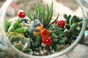 Hướng dẫn cách làm terrarium nghệ thuật độc đáo, cực đơn giản