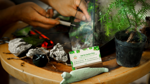 NGHỆ THUẬT LÀM BỂ TERRARIUM THỦ CÔNG