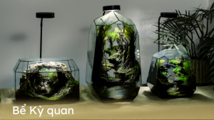 BỂ KỲ QUAN -  SỰ KẾT HỢP TINH TẾ VÀ TẠO HÌNH NGHỆ THUẬT TRONG BỂ KỲ QUAN