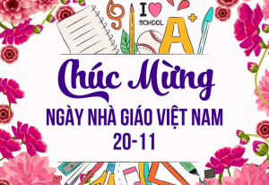 Gợi ý 20 loài hoa tặng thầy cô ý nghĩa nhất 20/11