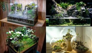 Top 15 mẫu terrarium đẹp, độc đáo để bàn siêu ấn tượng