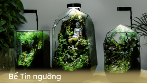 BỂ TÍN NGƯỠNG -  TERRARIUM RELIGIOUS Nơi kết nối Thiên Nhiên và Tâm Hồn
